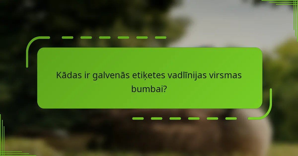 Kādas ir galvenās etiķetes vadlīnijas virsmas bumbai?